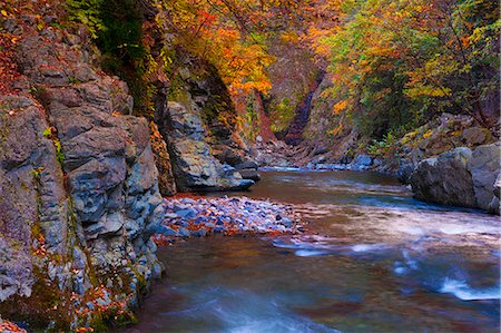 simsearch:859-09228430,k - Yamanashi Prefecture, Japan Foto de stock - Con derechos protegidos, Código: 859-09104682