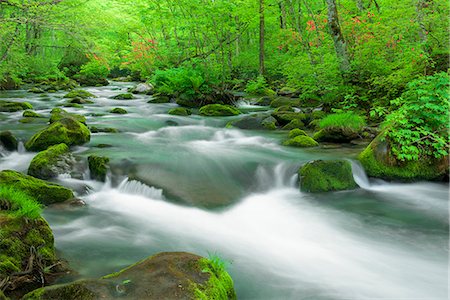 simsearch:859-07442165,k - Aomori Prefecture, Japan Foto de stock - Con derechos protegidos, Código: 859-09104713