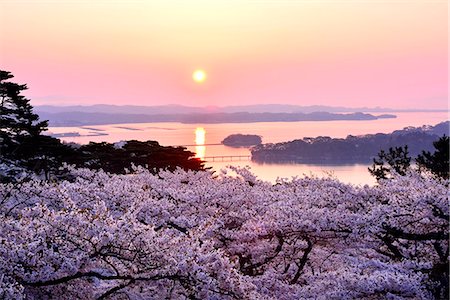pale color sky - Miyagi Prefecture, Japan Stock Photo - Rights-Managed, Code: 859-09104759