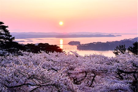 early spring - Miyagi Prefecture, Japan Photographie de stock - Rights-Managed, Code: 859-09104759