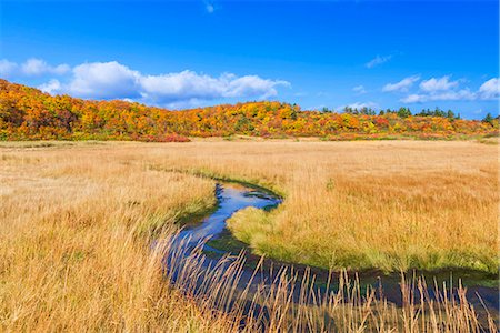 Akita Prefecture, Japan Stock Photo - Rights-Managed, Code: 859-09104775