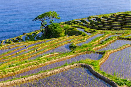 Ishikawa Prefecture, Japan Fotografie stock - Rights-Managed, Codice: 859-09104801