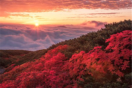 sonnenaufgang - Nagano Prefecture, Japan Foto de stock - Con derechos protegidos, Código: 859-09104820