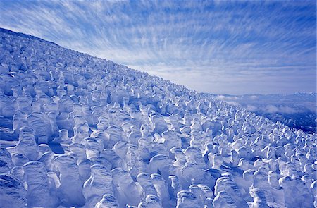 snowy trees from above - Yamagata Prefecture, Japan Stock Photo - Rights-Managed, Code: 859-09105043