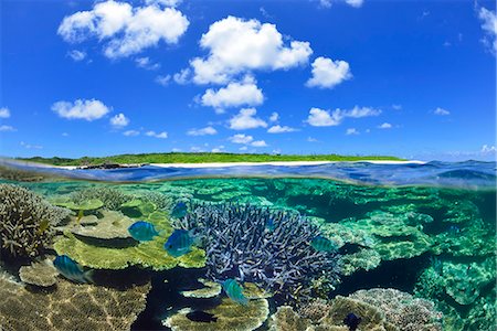 Okinawa, Japan Foto de stock - Con derechos protegidos, Código: 859-09175021