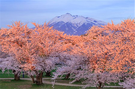 simsearch:859-06380243,k - Aomori Prefecture, Japan Foto de stock - Con derechos protegidos, Código: 859-09175075