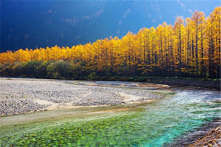 river in forest - Nagano Prefecture, Japan Stock Photo - Rights-Managed, Code: 859-09175115