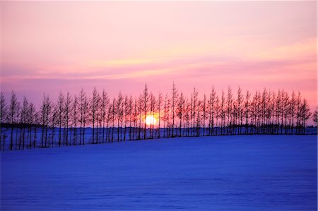 simsearch:859-07150503,k - Hokkaido, Japan Foto de stock - Con derechos protegidos, Código: 859-09175140