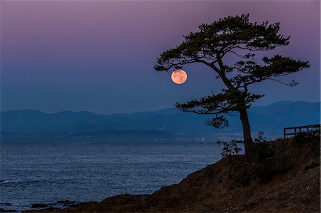 rayon de lune - Kanagawa Prefecture, Japan Photographie de stock - Rights-Managed, Code: 859-09175188