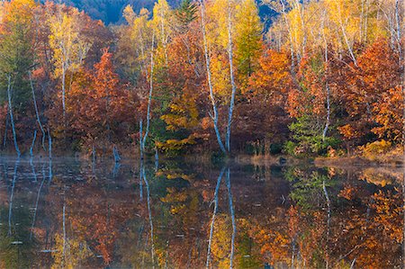 simsearch:859-09104945,k - Nagano Prefecture, Japan Foto de stock - Con derechos protegidos, Código: 859-09175204