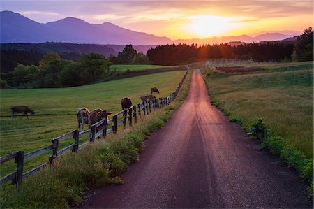 sunshine sky summer nobody - Okayama Prefecture, Japan Photographie de stock - Rights-Managed, Code: 859-09175227