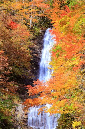 simsearch:859-09228430,k - Nagano Prefecture, Japan Foto de stock - Con derechos protegidos, Código: 859-09175259