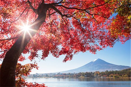 Mount Fuji from Yamanashi Prefecture, Japan Foto de stock - Con derechos protegidos, Código: 859-09175305