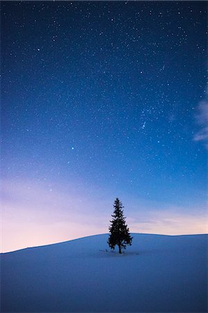 photo of constellations - Hokkaido, Japan Stock Photo - Rights-Managed, Code: 859-09175359