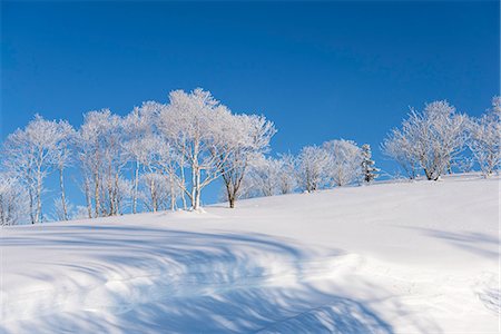 Hokkaido, Japan Photographie de stock - Rights-Managed, Code: 859-09175351