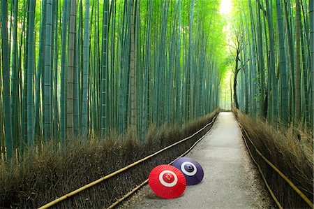 pictures of bamboo to color - Kyoto, Japan Stock Photo - Rights-Managed, Code: 859-09175458