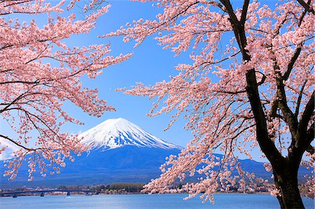 sakura - Mount Fuji from Yamanashi Prefecture, Japan Photographie de stock - Rights-Managed, Code: 859-09175483