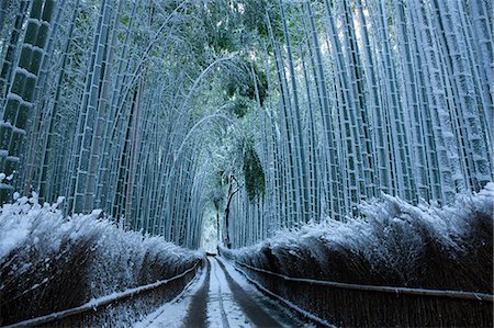 enero - Kyoto, Japan Foto de stock - Con derechos protegidos, Código: 859-09175494