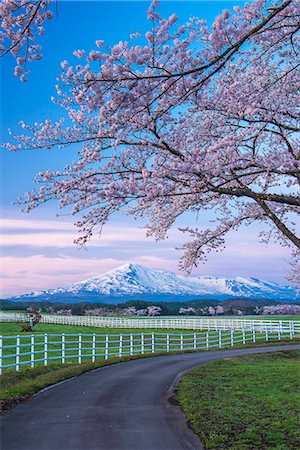 simsearch:859-06380243,k - Akita Prefecture, Japan Foto de stock - Con derechos protegidos, Código: 859-09175513