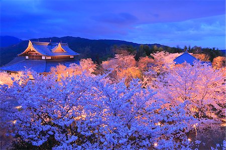 photographs japan temple flowers - Kyoto, Japan Stock Photo - Rights-Managed, Code: 859-09175520