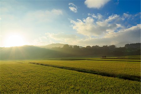 simsearch:859-07150350,k - Fukushima Prefecture, Japan Photographie de stock - Rights-Managed, Code: 859-09175538