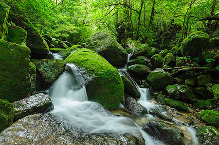 stream (body of water) - Kagoshima Prefecture, Japan Stock Photo - Rights-Managed, Code: 859-09192635