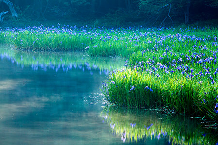 Shiga Prefecture, Japan Photographie de stock - Rights-Managed, Code: 859-09192658