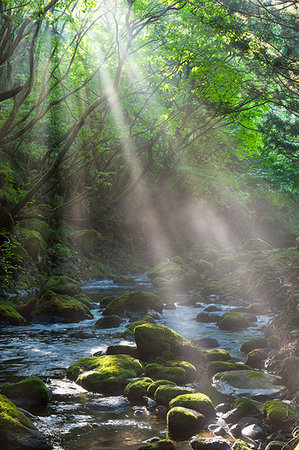 rock moss river - Akita Prefecture, Japan Stock Photo - Rights-Managed, Code: 859-09192694