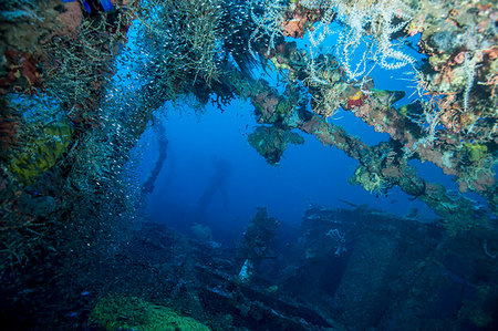 photo underwater ships - Underwater life Stock Photo - Rights-Managed, Code: 859-09192715