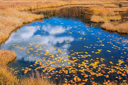 Gunma Prefecture, Japan Photographie de stock - Rights-Managed, Code: 859-09192723