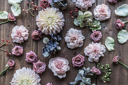 simsearch:859-03884561,k - Flower composition on wooden table Stock Photo - Rights-Managed, Code: 859-09192802
