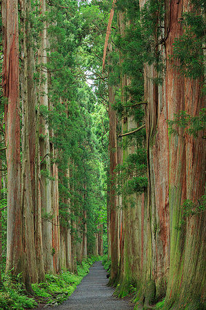 Nagano Prefecture, Japan Foto de stock - Direito Controlado, Número: 859-09192834