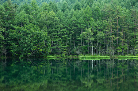 forest mountains nature - Nagano Prefecture, Japan Stock Photo - Rights-Managed, Code: 859-09192836