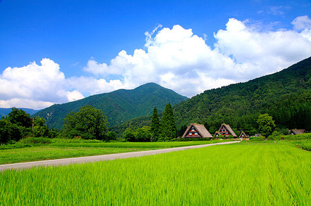 simsearch:859-07495613,k - Gifu Prefecture, Japan Foto de stock - Con derechos protegidos, Código: 859-09227646