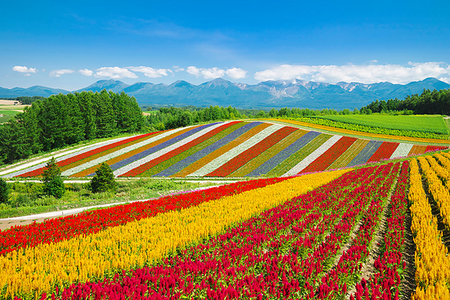 Hokkaido, Japan Photographie de stock - Rights-Managed, Code: 859-09227687