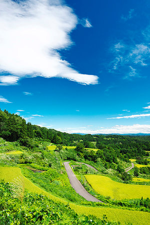 simsearch:859-08358900,k - Niigata Prefecture, Japan Stock Photo - Rights-Managed, Code: 859-09227689