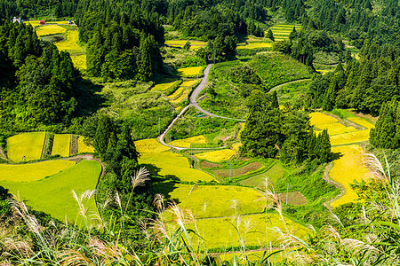simsearch:859-07150350,k - Niigata Prefecture, Japan Photographie de stock - Rights-Managed, Code: 859-09227751