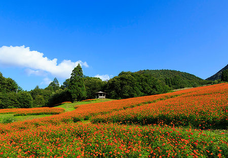 Yamagata Prefecture, Japan Foto de stock - Con derechos protegidos, Código: 859-09227944