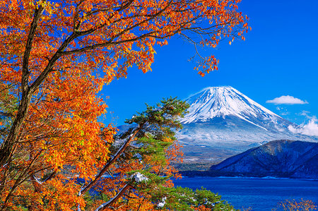 simsearch:859-09175253,k - Yamanashi Prefecture, Japan Foto de stock - Con derechos protegidos, Código: 859-09227993