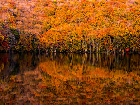 Aomori Prefecture, Japan Photographie de stock - Rights-Managed, Code: 859-09228017