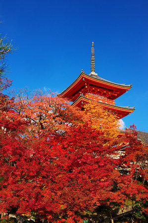 Kyoto, Japan Photographie de stock - Rights-Managed, Code: 859-09228012