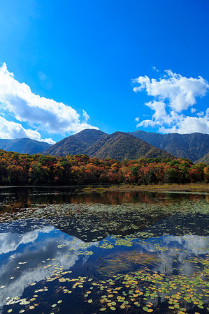 simsearch:859-08358065,k - Fukushima Prefecture, Japan Photographie de stock - Rights-Managed, Code: 859-09228056