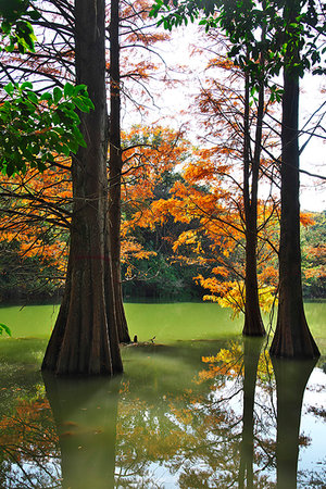 Fukuoka Prefecture, Japan Stock Photo - Rights-Managed, Code: 859-09228057