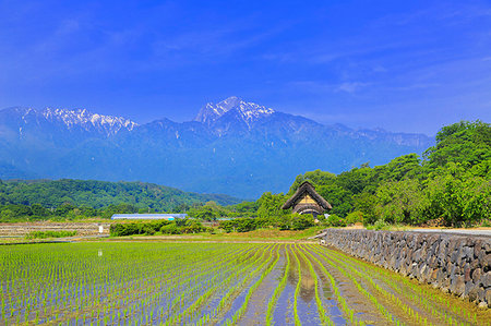 Yamanashi Prefecture, Japan Photographie de stock - Rights-Managed, Code: 859-09228180