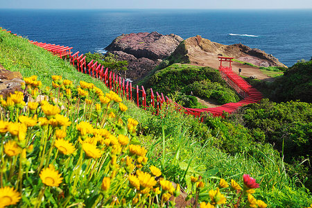 Yamaguchi Prefecture, Japan Foto de stock - Con derechos protegidos, Código: 859-09228205