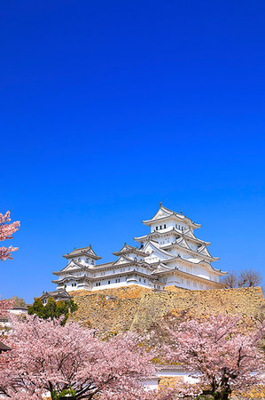 simsearch:859-07495255,k - Hyogo Prefecture, Japan Foto de stock - Con derechos protegidos, Código: 859-09228274