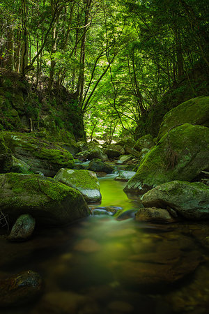 simsearch:859-07442165,k - Mie Prefecture, Japan Foto de stock - Con derechos protegidos, Código: 859-09228281