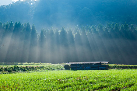 Toyama Prefecture, Japan Stock Photo - Rights-Managed, Code: 859-09228309