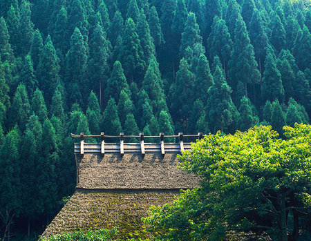 Fukui Prefecture, Japan Stock Photo - Rights-Managed, Code: 859-09228323