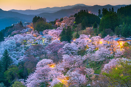 Nara Prefecture, Japan Stock Photo - Rights-Managed, Code: 859-09228340